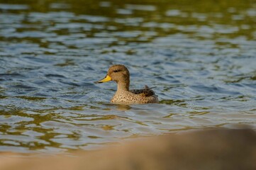 Valle Grande, San Rafael, Mendoza, Argentina