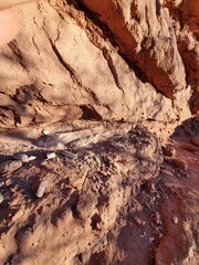 HUESOS DE DINOSAURIO PETRIFICADO, VALLE DE LOS DINOSAURIOS, NEUQUEN, YACIMIENTO PETROLIFERO VACA MUERTA