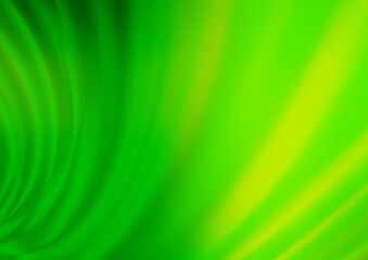 Light Green vector glossy bokeh pattern. Modern geometrical abstract illustration with gradient. The elegant pattern for brand book.