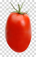 San Marzano, plum or Roma tomato  isolated on transparent background including clipping path. - obrazy, fototapety, plakaty