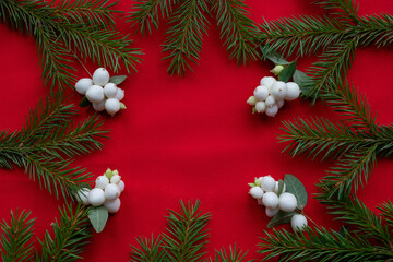 Frame of green fir branches and white dogwood berries on a red background. The concept of Christmas and the new year. Space for your text