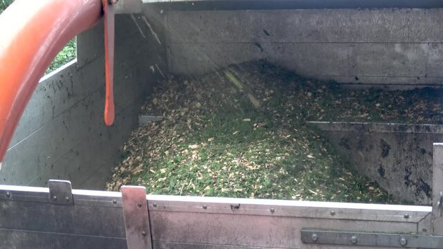 A chipping machine blows wood chippings into a waiting truck.