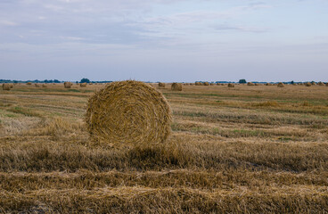 Hay bales on a field on a cloudy day