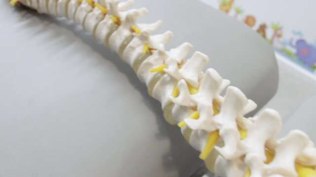 Cervical and thoracic spine massage bed chiropractic