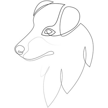 recommend clip art: Australian Shepherd vector Dog portrait. Continuous line. Dog line drawing