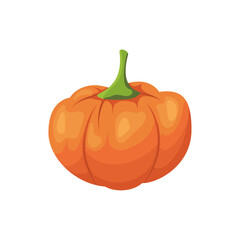 Orange pumpkin vector icon. Symbol of Halloween, Thanksgiving Day. Isolated vegetable on a white background. Cartoon style