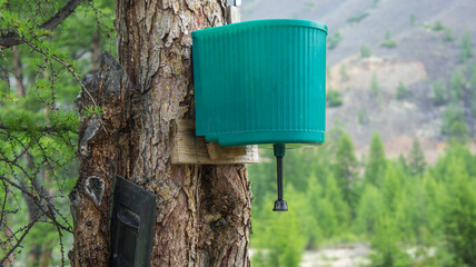 bird house in the garden