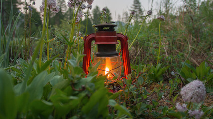 lantern in the forest