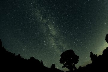 Naklejka na ściany i meble Blue dark night sky with many stars. Night sky over rural landscape. high ISO landscape with fisheye lens