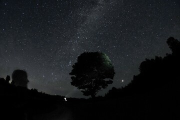 Blue dark night sky with many stars. Night sky over rural landscape. high ISO landscape with...