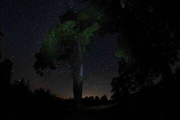 Blue dark night sky with many stars. Night sky over rural landscape. high ISO landscape with...