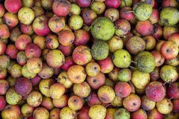 pile of apples and pears