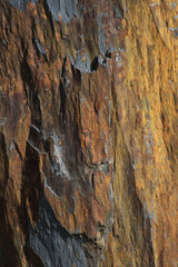 Natürlicher Hintergrund