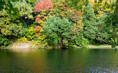 Various beautiful autumn trees near the water in the early morning in the fall