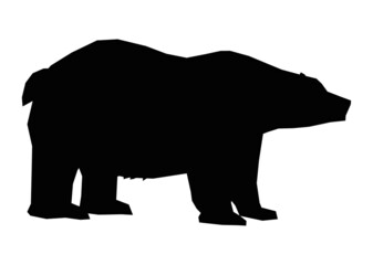 Bear Animal Cartoon Vector Illustration
