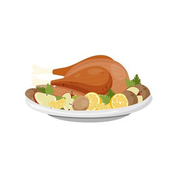 Roasted thanksgiving or christmas turkey. Vector illustration