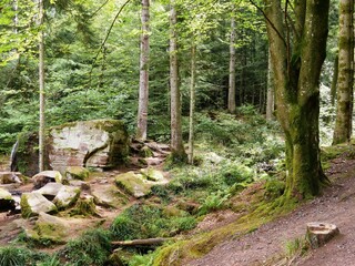 Fototapeta premium Cascade artificielle des Molieres à Saint-Dié dans les Vosges. France