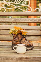 Autumn fall mood background. Autumn leaves, one boot and cup of cocoa on wooden bench. Autumn mood background.