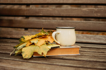 Autumn fall mood background. Autumn leaves, book and cup of cocoa on wooden bench. Autumn mood background.