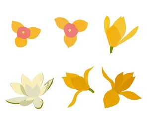 Collection of Thai flowers isolated on white background