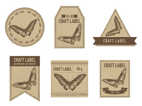 Craft labels vintage design with illustration of rajah brooke s birdwing