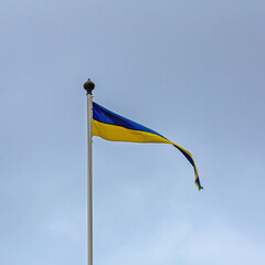 Long Swedish Flag Sky