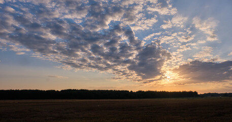 Obraz na płótnie Canvas Summertime sunrise in agricultural landscape