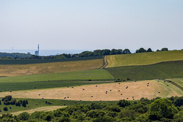 Fototapeta na wymiar Haybales in a Field with Brighton and the Sea Behind