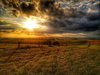 sunset in the field