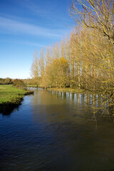 Fototapeta na wymiar River Cherwell, Lower Heyford, Oxfordshire, England, UK, Cherwell Valley, pasture and meadows,