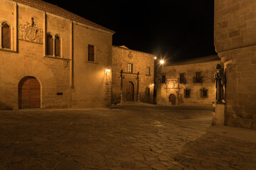 Night landscape of the old city of Cáceres with stone houses of the noble families, UNESCO World...