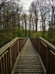 Naklejka na ściany i meble wooden bridge in the forest
