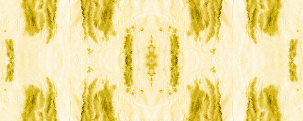 Watercolor Animal Artistic Zebra. 