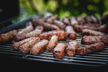 grilled meat on the grill
