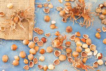 Organic hazelnuts with broken hazel shells on rustic blue background. Healthy, vegetarian food.