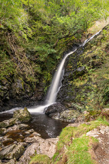 Fototapeta na wymiar Grey Mare's Tail waterfall on Grey Mare's Tail burn in The Galloway Forest park