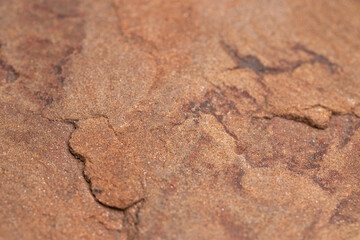 Abstract stone texture. Nature background. Macro shot. Selective focus.