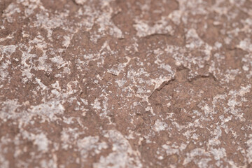 Abstract stone texture. Nature background. Macro shot. Selective focus.