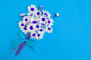 A bouquet unusual chamomiles on the blue background. Top view. Copy space.