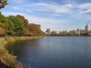 Fototapeta premium Central Park in Manhattan New York City