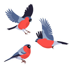 Three figures of a flying bullfinch