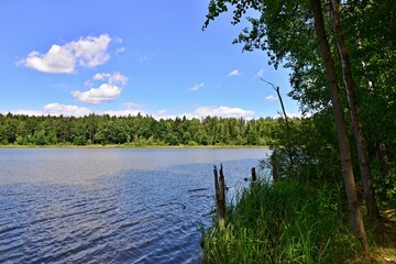 Romantic view of the lake surface. Summer by the lake. green trees, water surface and blue sky with white clouds. Small waves on the surface of the lake.