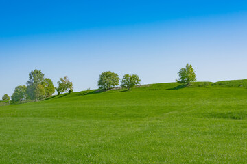 Landscape on the Kizhi island in Lake Onega on a summer sunny day. Scenic landscape with green meadow and trees at the top of the hill