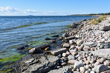 Stony coastal view