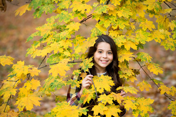 In love with nature. cheerful girl with yellow maple leaves. happy kid enjoy fall weather. small girl in autumn leaves. fall time. child with long hair in fall forest. beauty of nature. kid in park