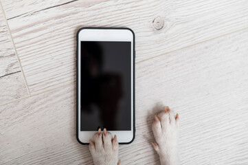 Close-up of dog paws touching smartphone screen on wooden background