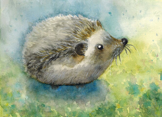 watercolor of a cute little hedgehog on a grass background © Илья Илья