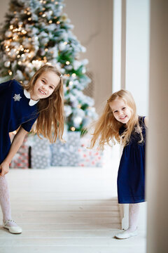 two funny little girls in blue dresses on the background of a Christmas tree. new year celebration with children. sisters on winter vacation. leisure with kids. traditional annual photo shoot.