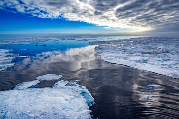 Naklejka na ściany i meble Ice flows in Arctic at sunset