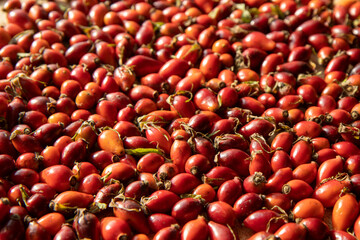 Rosehip berries on the table